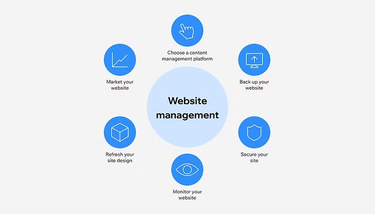 Website Update & Management